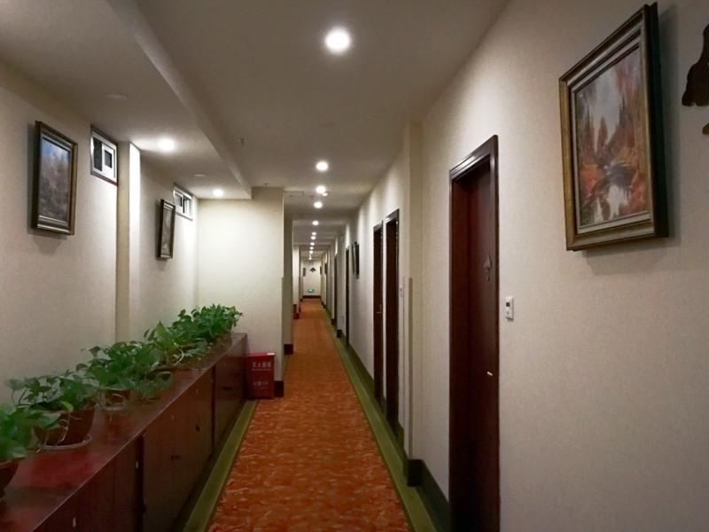 Greentree Inn Jiangsu Nanjing South Railway Station South Square Express Hotel Zewnętrze zdjęcie